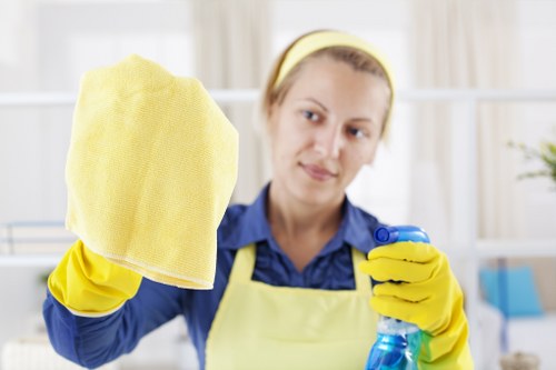 Professional cleaning company in E17 servicing a home