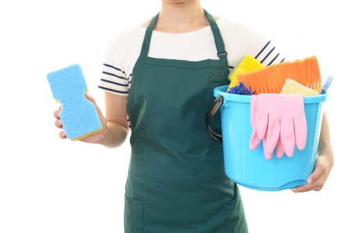 Domestic cleaning in E17 for a tidy and comfortable home