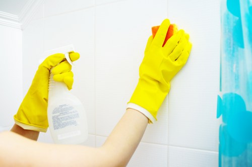 Kitchen and bathroom domestic cleaning in E17