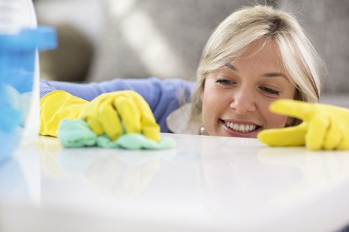 Carpet cleaning preparation and inspection in an E17 property