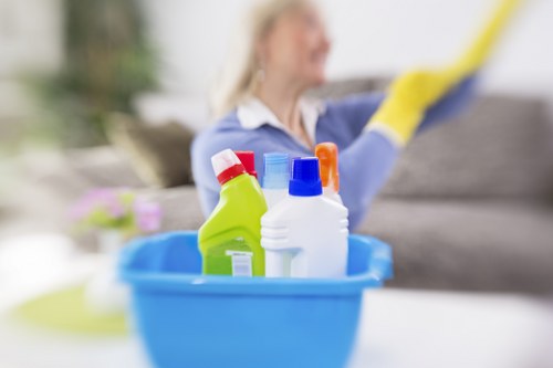 Expert rug cleaning process in E17 with stain removal