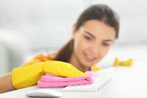 Carpet care and maintenance in an E17 home or office