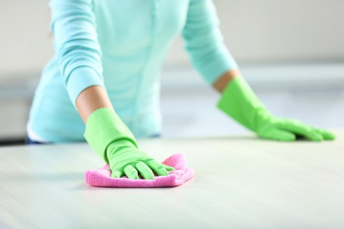 Specialist upholstery cleaning equipment used on a sofa in E17