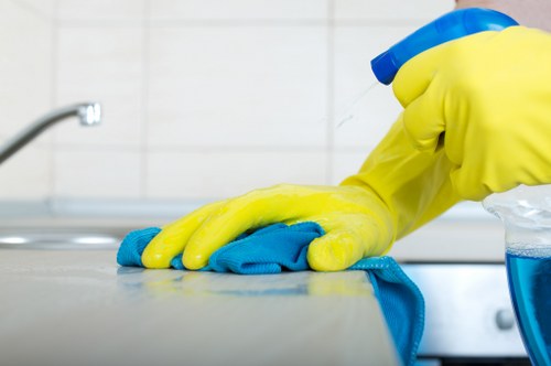 Delicate rug care and fibre-safe cleaning in E17