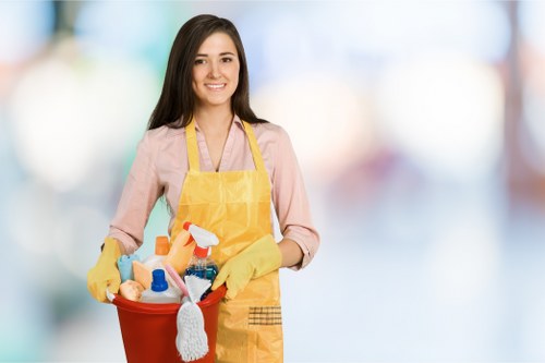 Local E17 carpet cleaning service focusing on professional standards