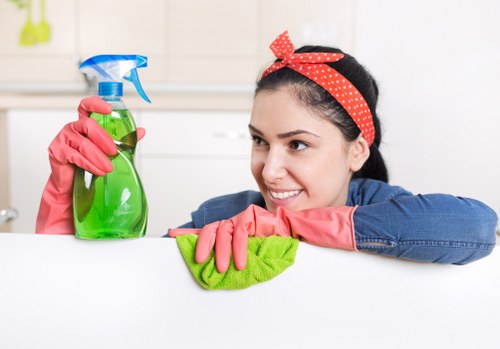 Safe carpet cleaning process in an E17 home or business
