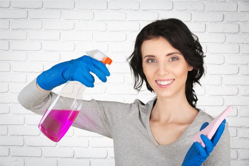 Professional carpet cleaner checking equipment safety