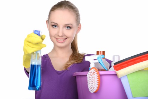 Eco-friendly home cleaning in E17