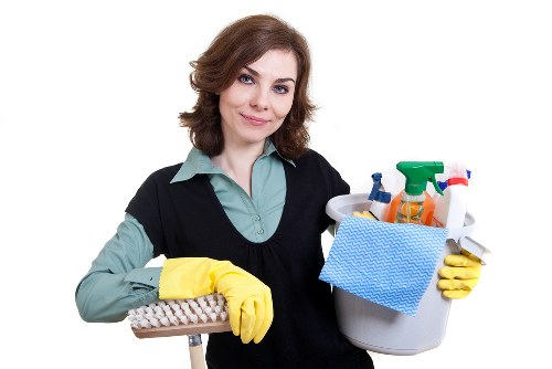 Regular domestic cleaning schedule for E17 households